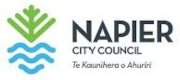 Napier City Council Logo